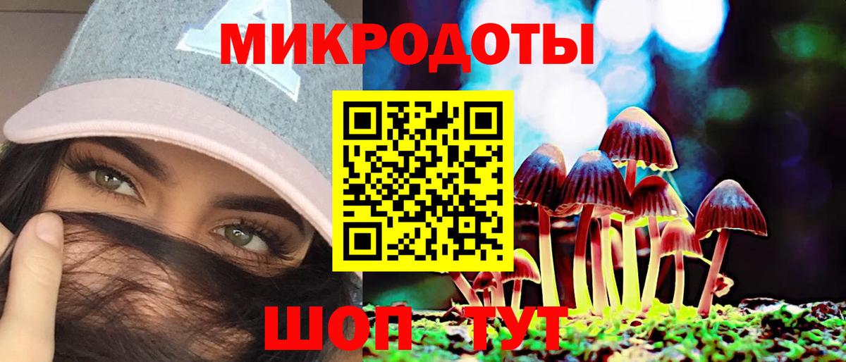 Ефремов  Галлюциногенные грибы Psilocybine cubensis  Вход с VPN 