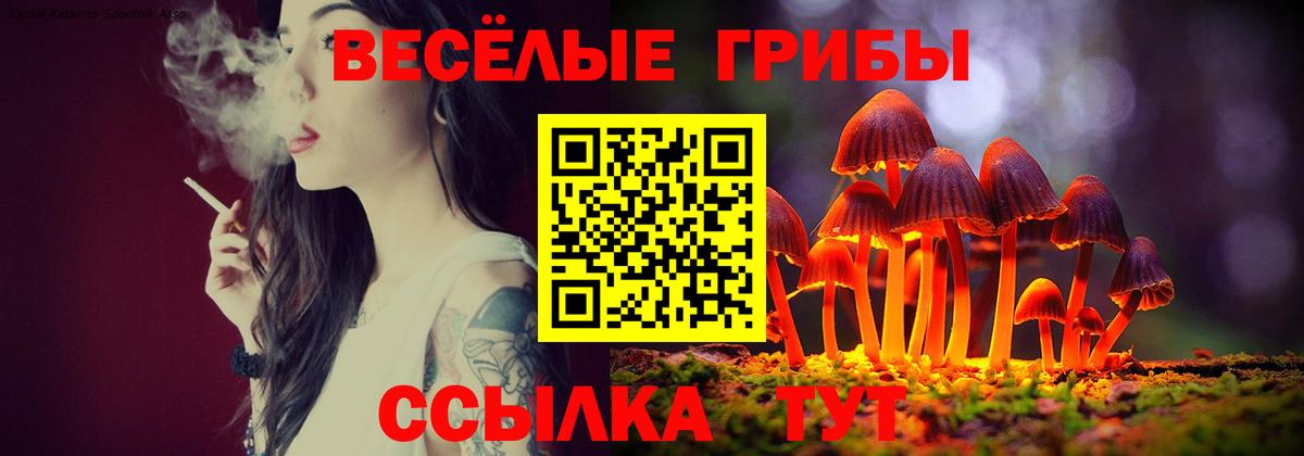 Галлюциногенные грибы Psilocybine cubensis Ефремов